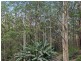 164 North Road, Lower Beechmont QLD 4211
