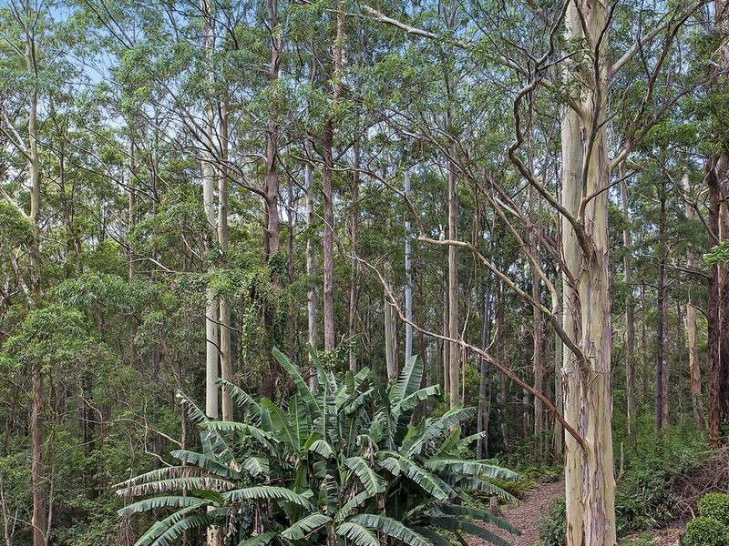 164 North Road, Lower Beechmont QLD 4211