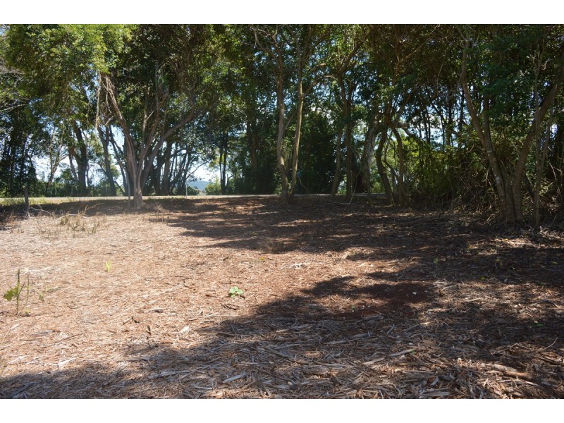 117 Windabout Road, Beechmont QLD 4211