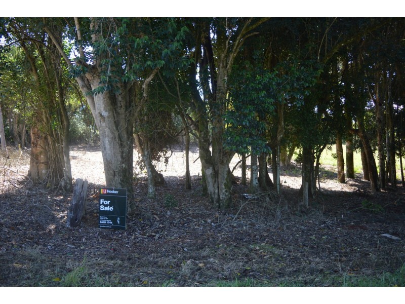 117 Windabout Road, Beechmont QLD 4211