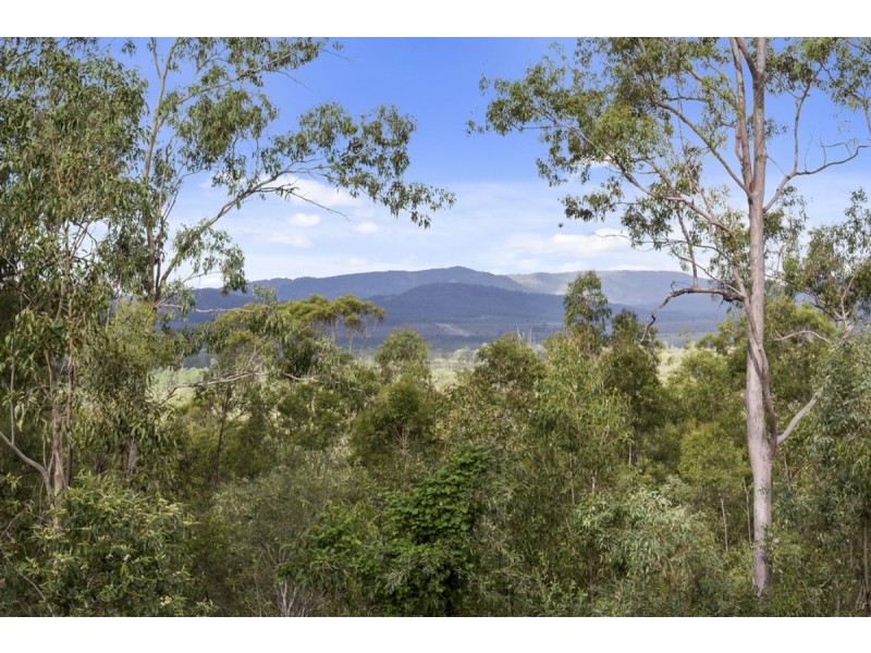 19-25 Naylor Drive, Tamborine QLD 4270