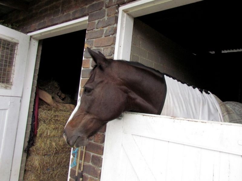 11 Oak Street, Nerang QLD 4211