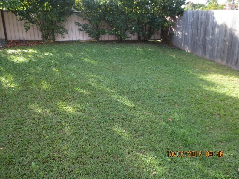 37 Plateau Crescent, Carrara QLD 4211