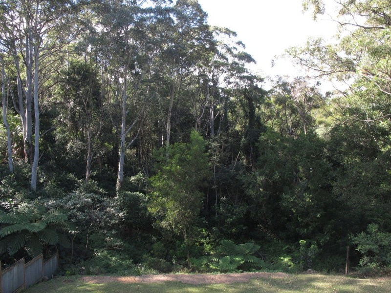 117 North Road, Lower Beechmont QLD 4211