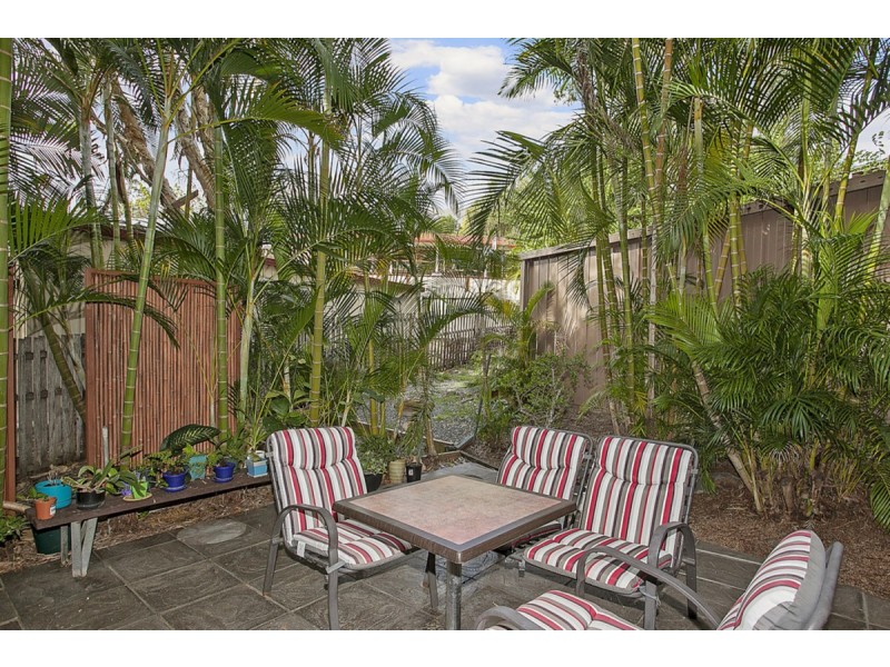 31B Ben Lomond Drive, Highland Park QLD 4211