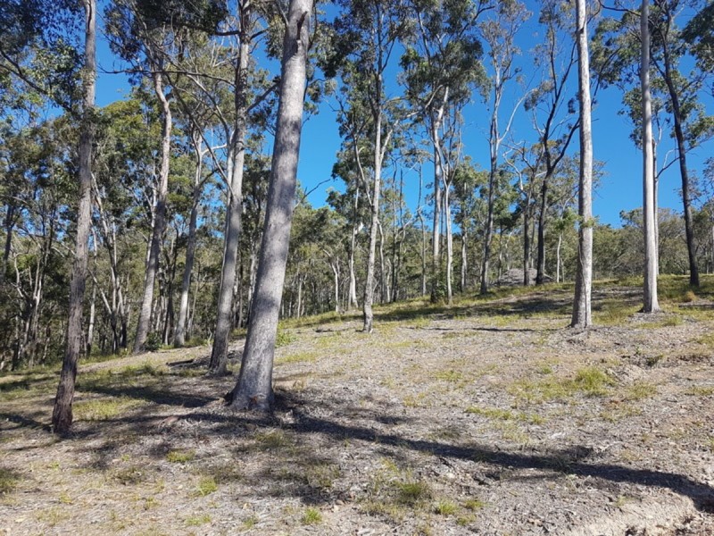 Lot 89 Valleyview Drive, Mount Nathan QLD 4211