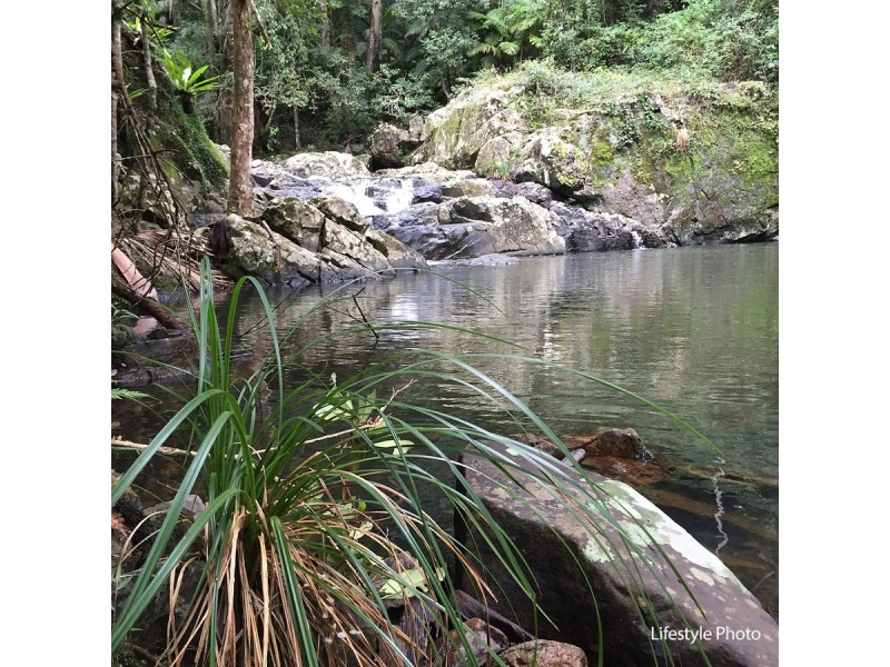 2218 Springbrook Road, Springbrook QLD 4213