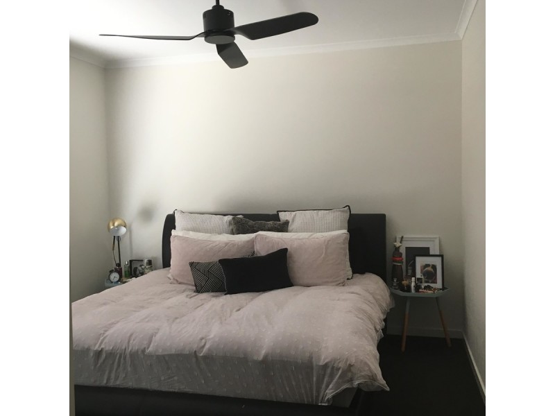 4 Forestwood Court, Nerang QLD 4211