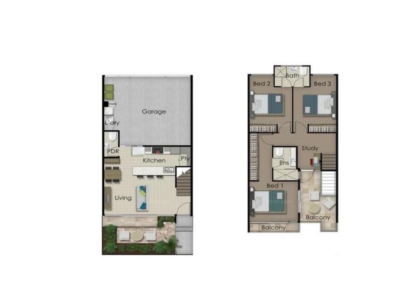 29 Cotton Street, Nerang QLD 4211 Floorplan