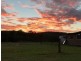 42 Equestrian Drive, Maudsland QLD 4210