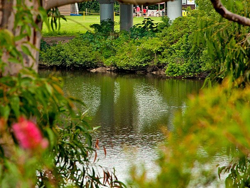 31 Riverwood Drive, Ashmore QLD 4214
