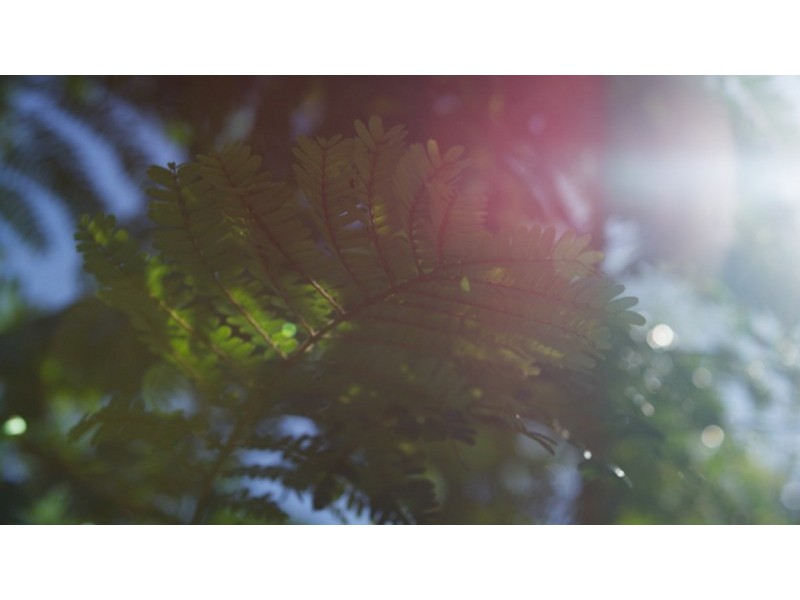 68 Countryview Street, Kingsholme QLD 4208