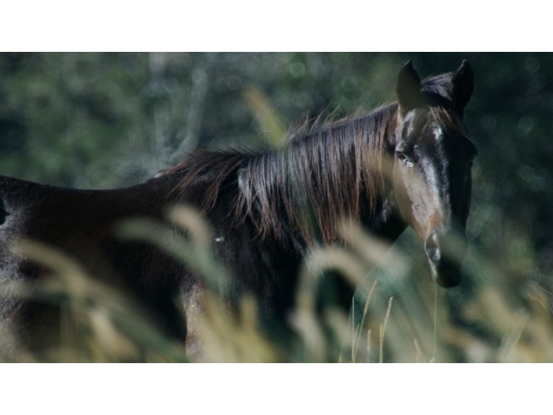 68 Countryview Street, Kingsholme QLD 4208