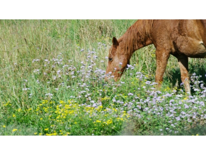 68 Countryview Street, Kingsholme QLD 4208