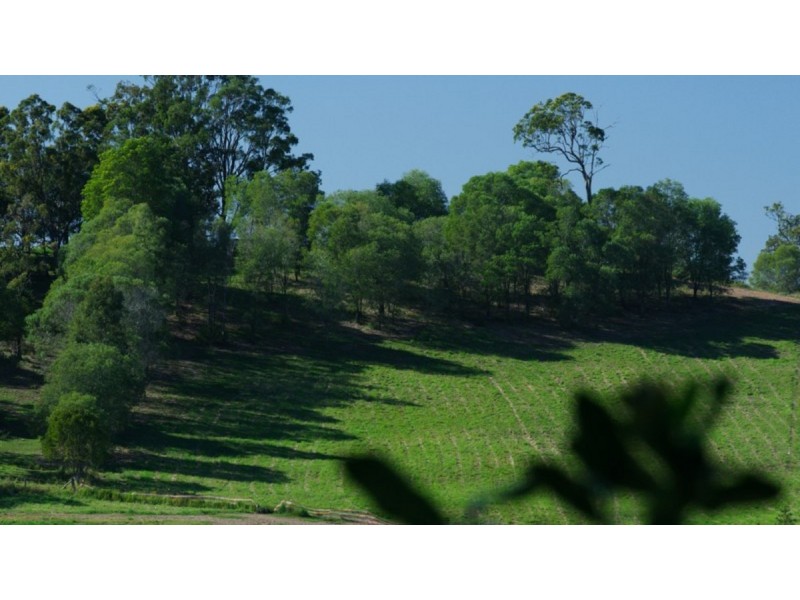 68 Countryview Street, Kingsholme QLD 4208