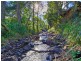 1060 Tamborine-Oxenford Road, Wongawallan QLD 4210