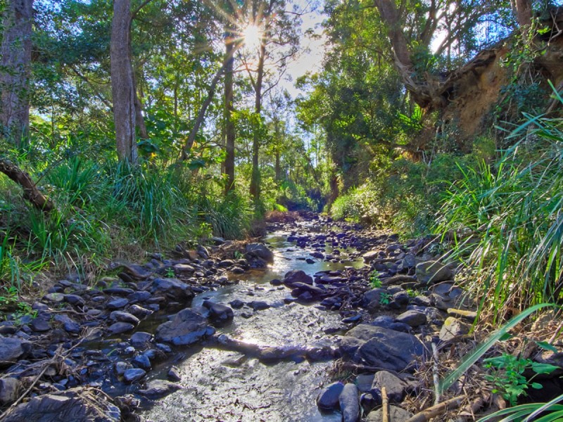 1060 Tamborine-Oxenford Road, Wongawallan QLD 4210