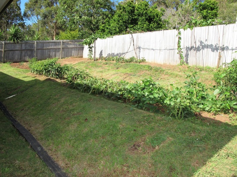 55 Bluetail Crescent, Upper Coomera QLD 4209