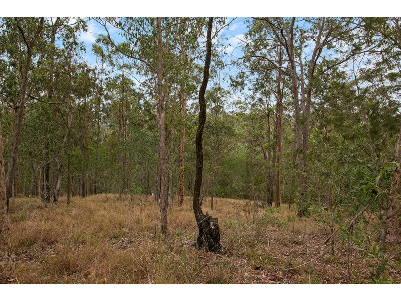 286 Nerang Murwillumbah Road, Clagiraba QLD 4211
