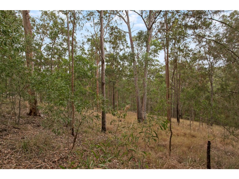 286 Nerang Murwillumbah Road, Clagiraba QLD 4211