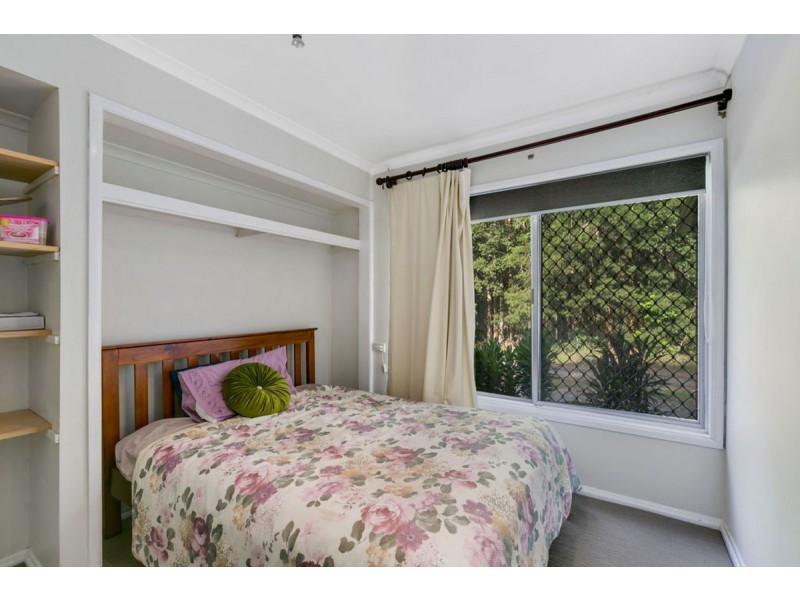 2138 Springbrook Road, Springbrook QLD 4213