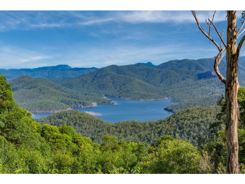 647 Beechmont Road, Lower Beechmont QLD 4211