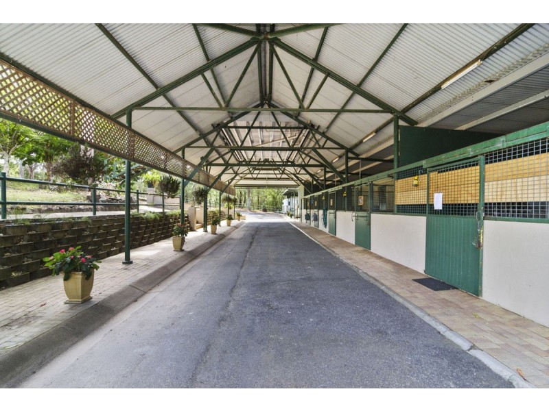 59 Billabirra Crescent, Nerang QLD 4211