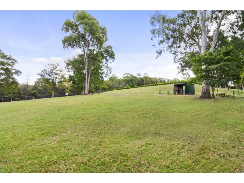 59 Billabirra Crescent, Nerang QLD 4211