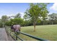 59 Billabirra Crescent, Nerang QLD 4211
