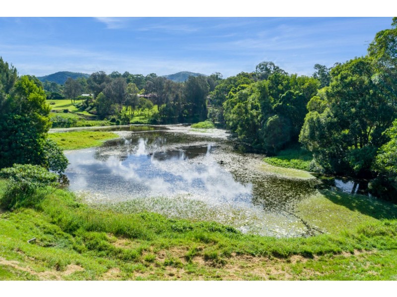 7 Blue Lagoon Court, Nerang QLD 4211