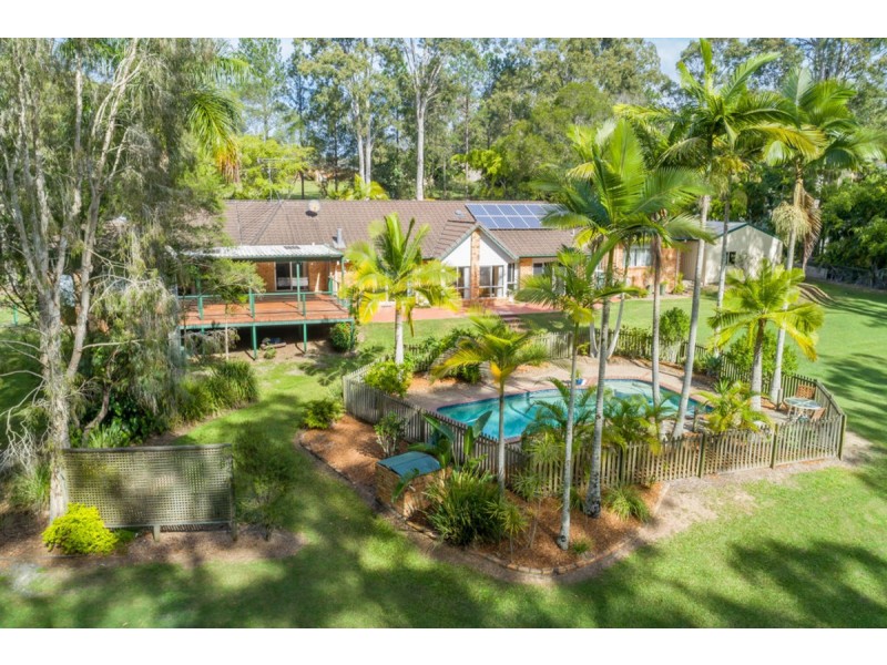 43 Birdlife Court, Nerang QLD 4211