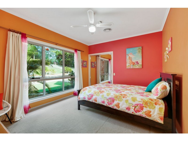 43 Birdlife Court, Nerang QLD 4211