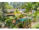 43 Birdlife Court, Nerang QLD 4211