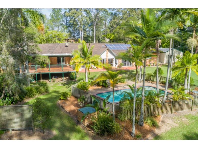 43 Birdlife Court, Nerang QLD 4211