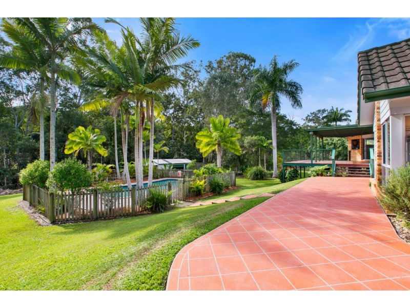 43 Birdlife Court, Nerang QLD 4211