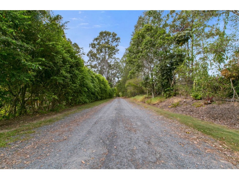 43 Birdlife Court, Nerang QLD 4211