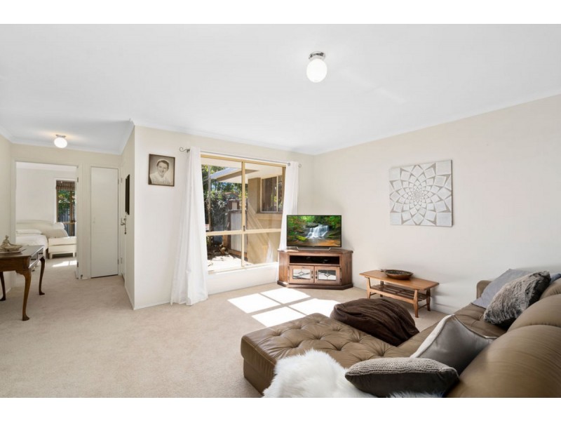 16 Souter Street, Nerang QLD 4211