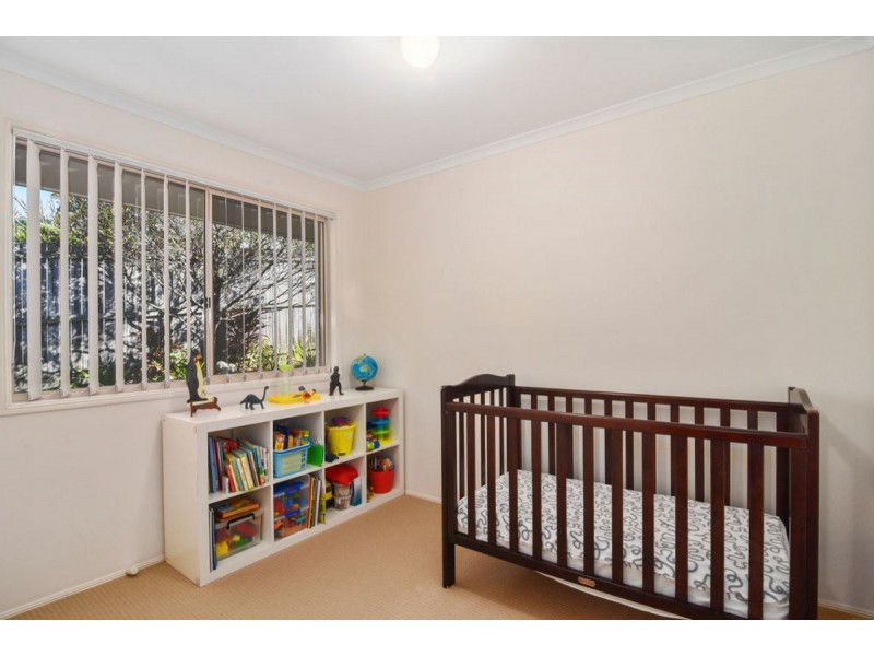 16 Paladin Court, Nerang QLD 4211