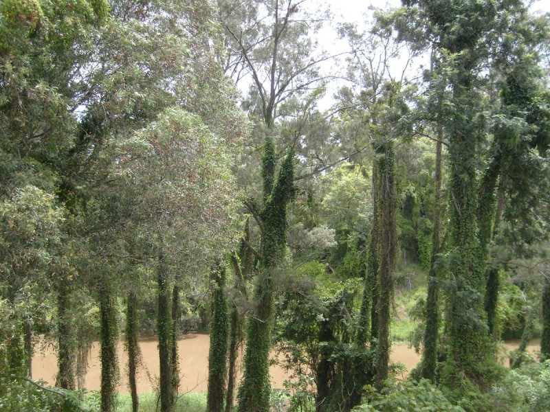 16 Rossmore Street, Nerang QLD 4211