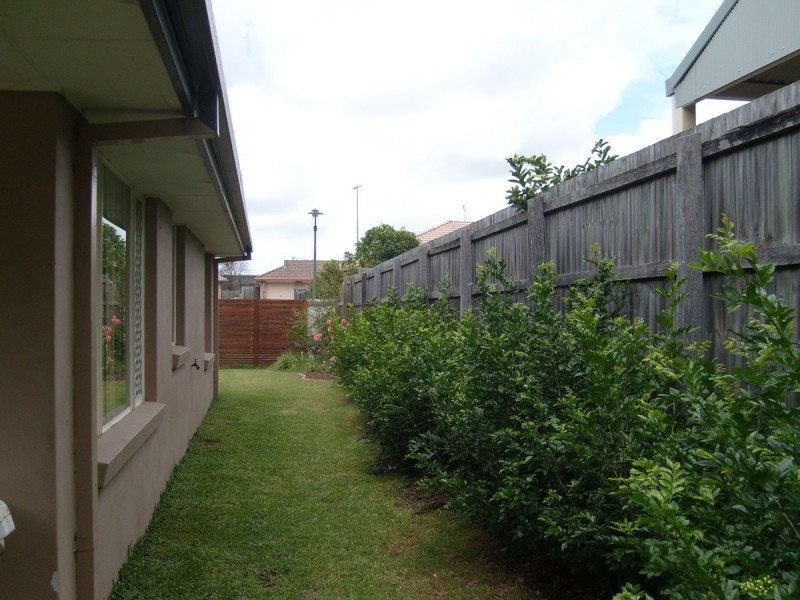 16 Rossmore Street, Nerang QLD 4211