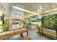 37 Balyando Drive, Nerang QLD 4211