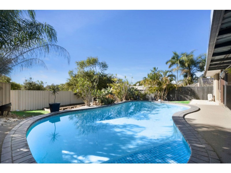 73 Pappas Way, Carrara QLD 4211