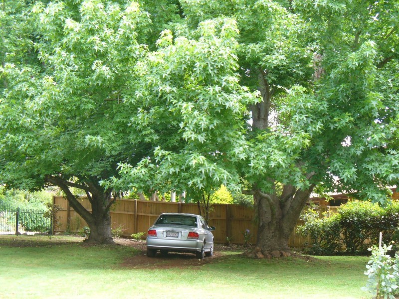 27 Lilac Tree Court, Beechmont QLD 4211