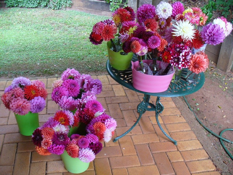 27 Lilac Tree Court, Beechmont QLD 4211