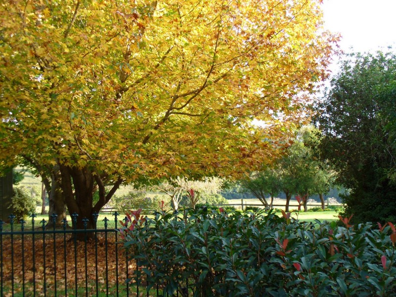 27 Lilac Tree Court, Beechmont QLD 4211