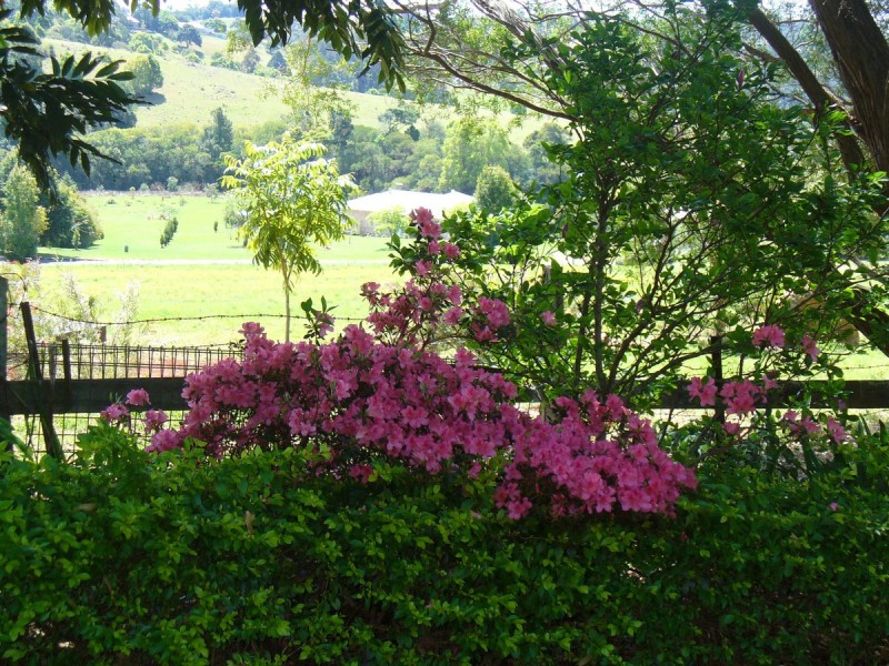 27 Lilac Tree Court, Beechmont QLD 4211