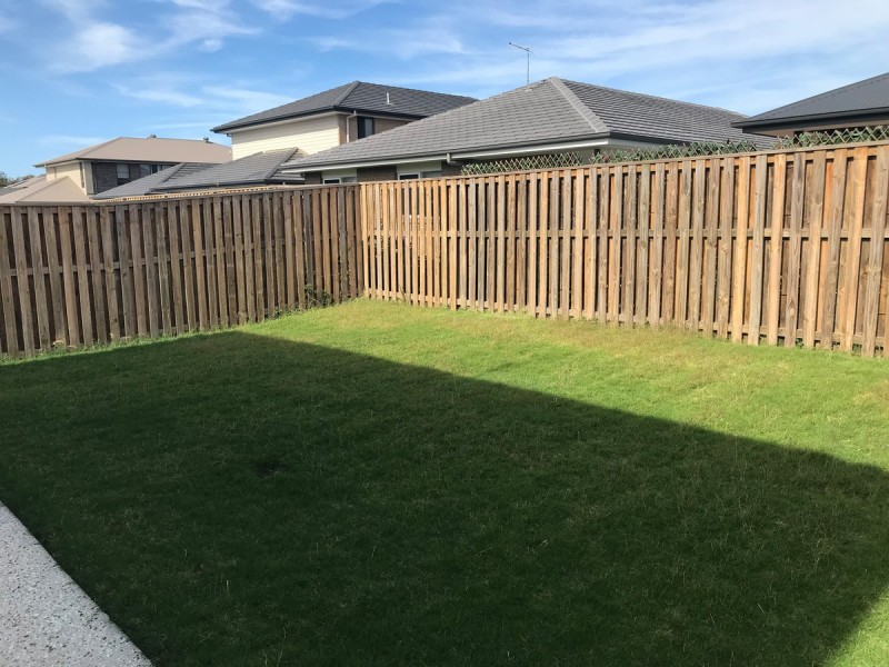 23 Belconnen Drive, Pimpama QLD 4209