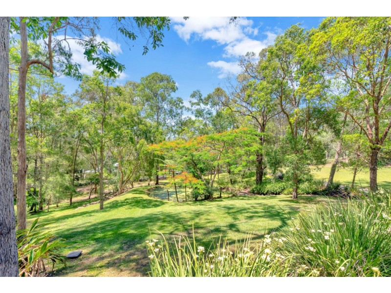 88 Crane Crescent, Nerang QLD 4211