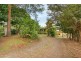 17 Forestry Road, Springbrook QLD 4213