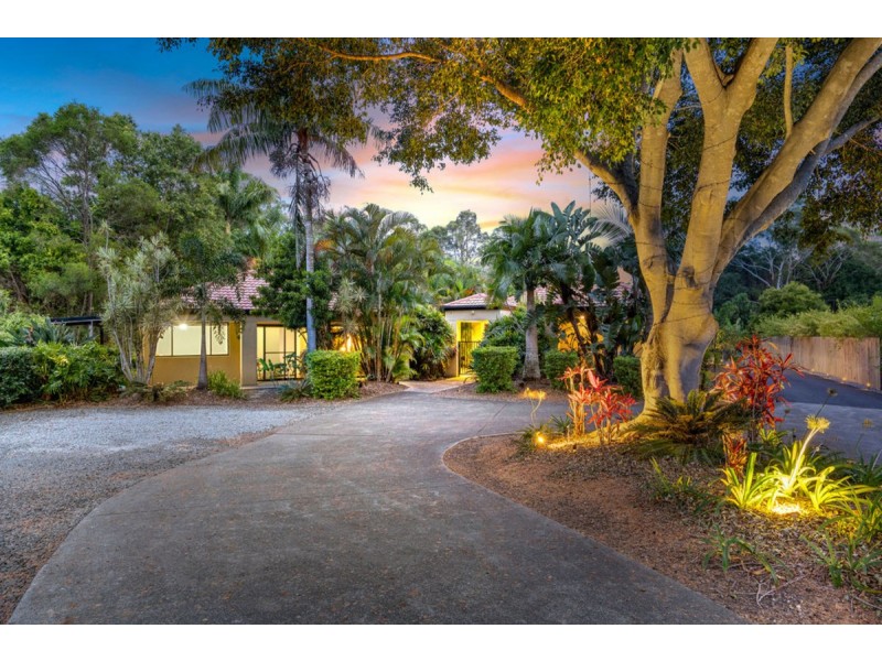 53 Crane Crescent, Nerang QLD 4211